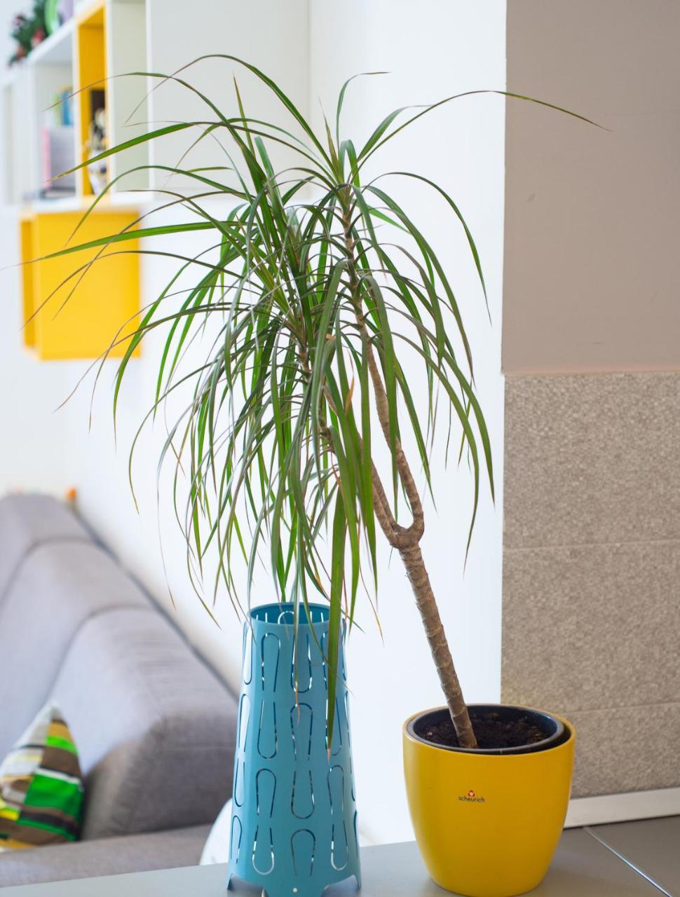 Apartment Lemon Mostar Esterno foto